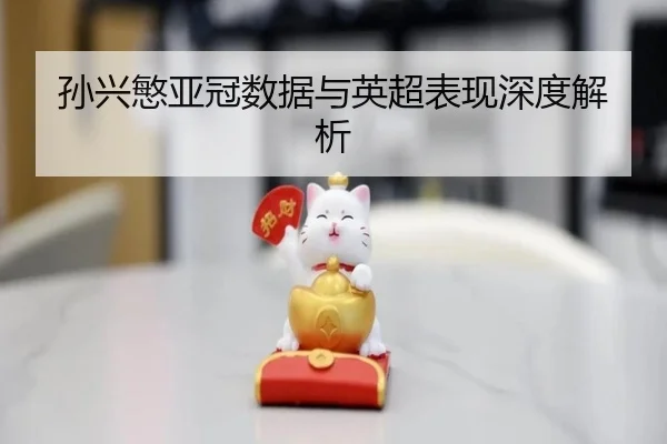 孙兴慜亚冠数据与英超表现深度解析