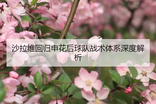 沙拉维回归申花后球队战术体系深度解析